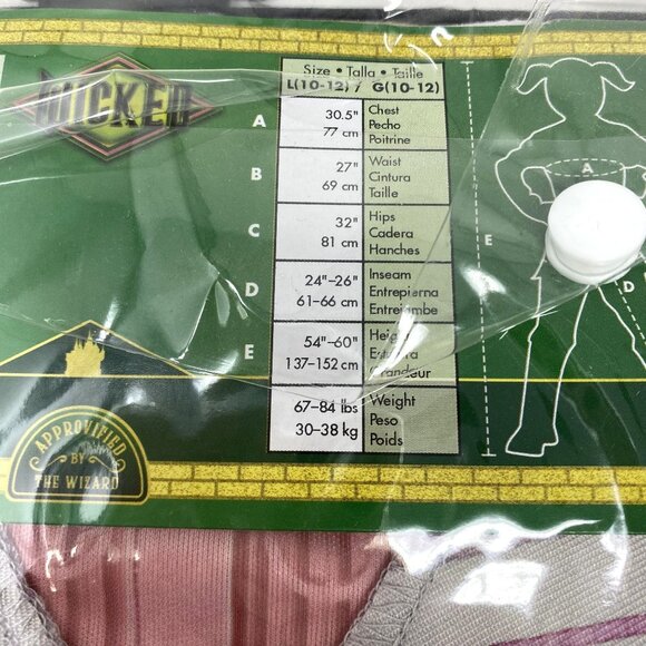 NBCUniversal Girls' Wicked the Musical Glinda Upland Shiz Classic Costume Dress - Picture 10 of 13